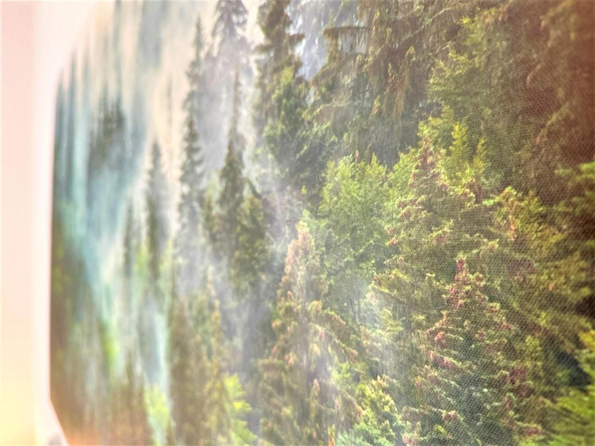 Cozy Apartment In Bavarian Forest +Pool +Sauna +Netflix Zwiesel Exteriör bild